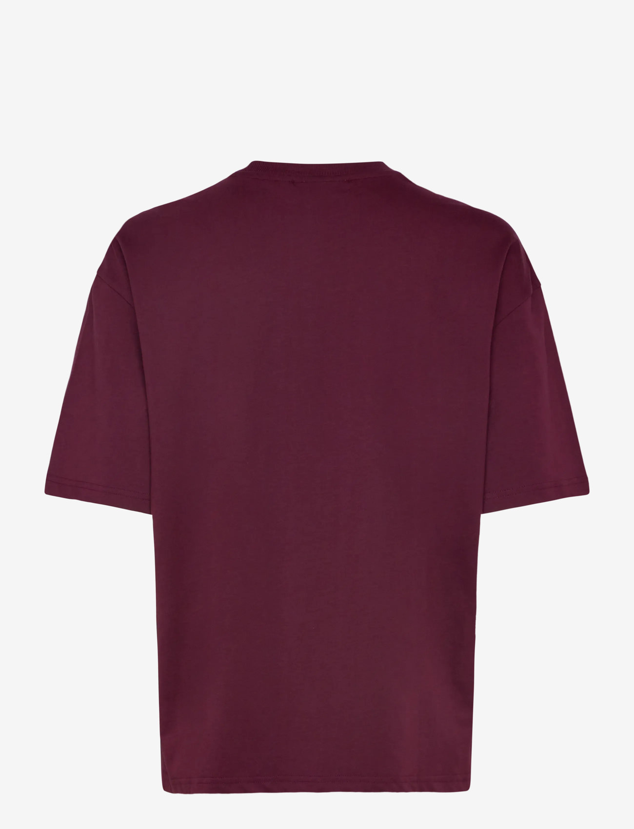 FILA - RIVOLI oversized graphic t-shirt - t-shirts - fig - 1