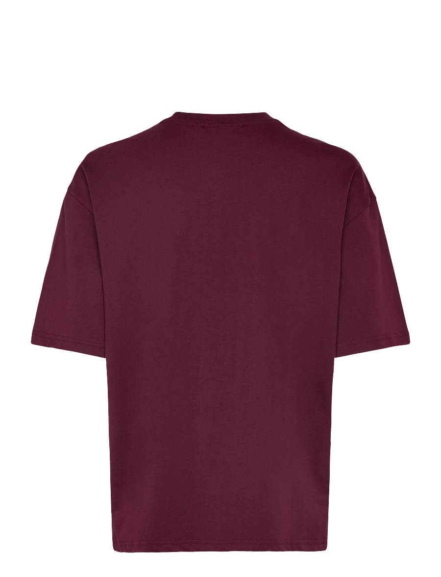 FILA - RIVOLI oversized graphic t-shirt - t-shirts - fig - 1