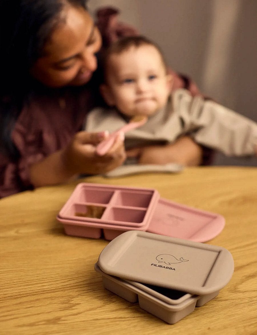 Filibabba - Baby food freezer tray 4x65 ml - 2-pack - Rose Mix - multi coloured - 4