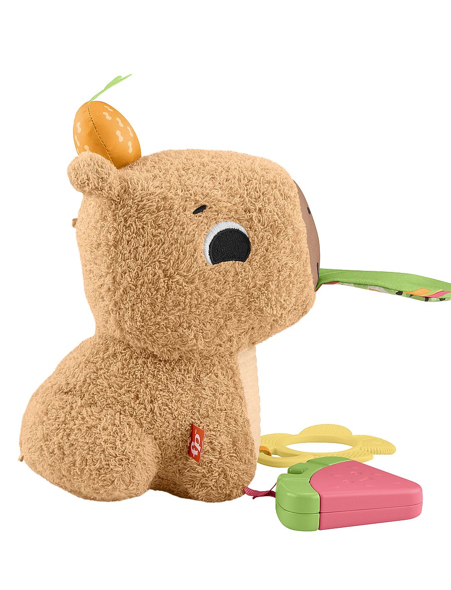 Fisher-Price - Snuggly Snacky Capybara Plush Baby Sensory Toy with Teether & Rattle for Newborns - die niedrigsten preise - multi color - 5