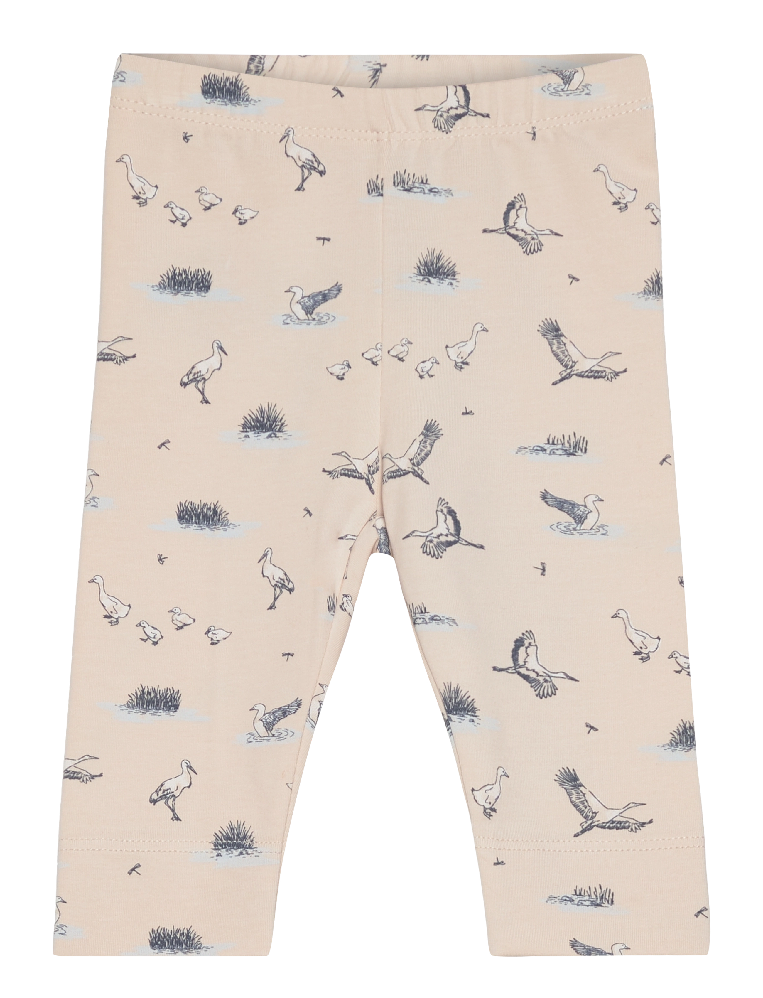 TAPIOCA