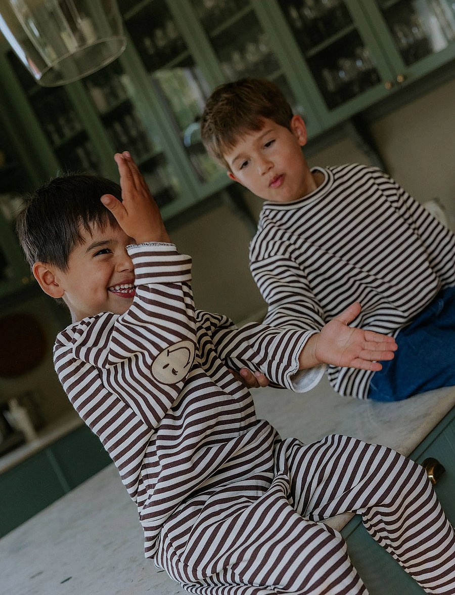 Fliink - ALVIN LS STRIPE SWEATSHIRT - långärmade t-shirts - coffee bean / sandshell - 0