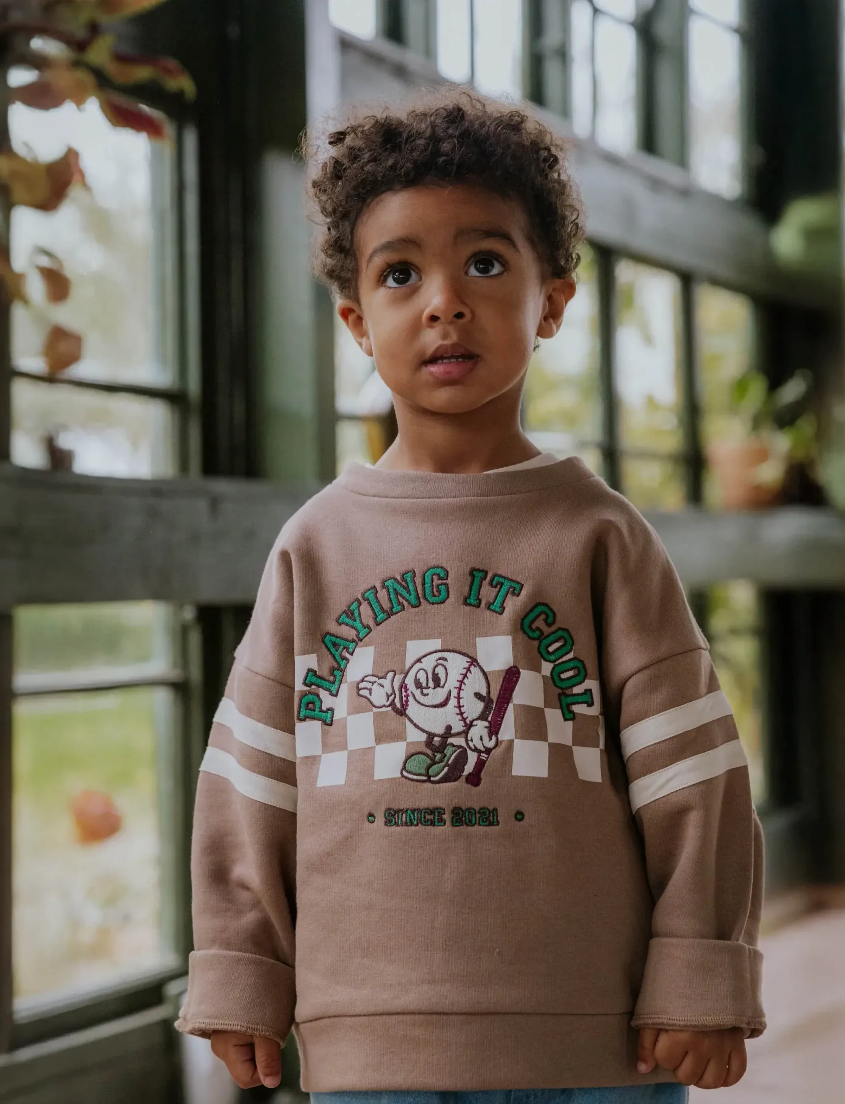 Fliink Alvin Cool Sweatshirt, 104, Brown, Sweatshirts & Hættetrøjer > Sweatshirts, Børn