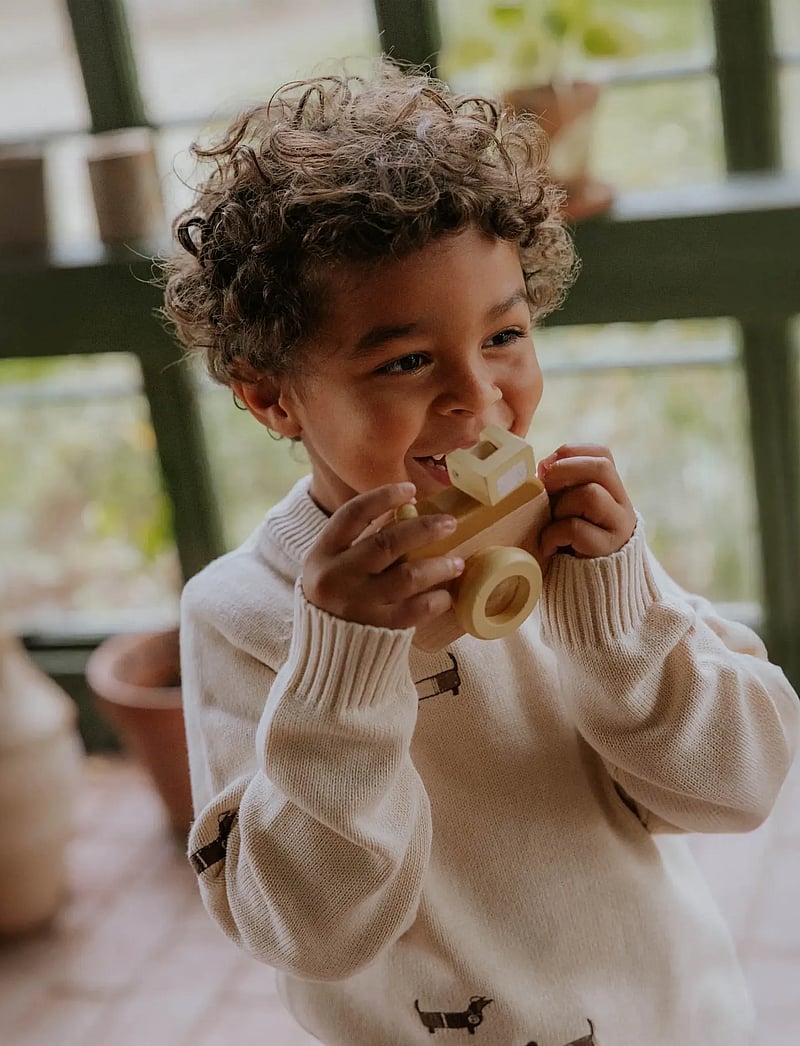 Fliink - MAHDI DOG PULLOVER - džemprid - cream - 0