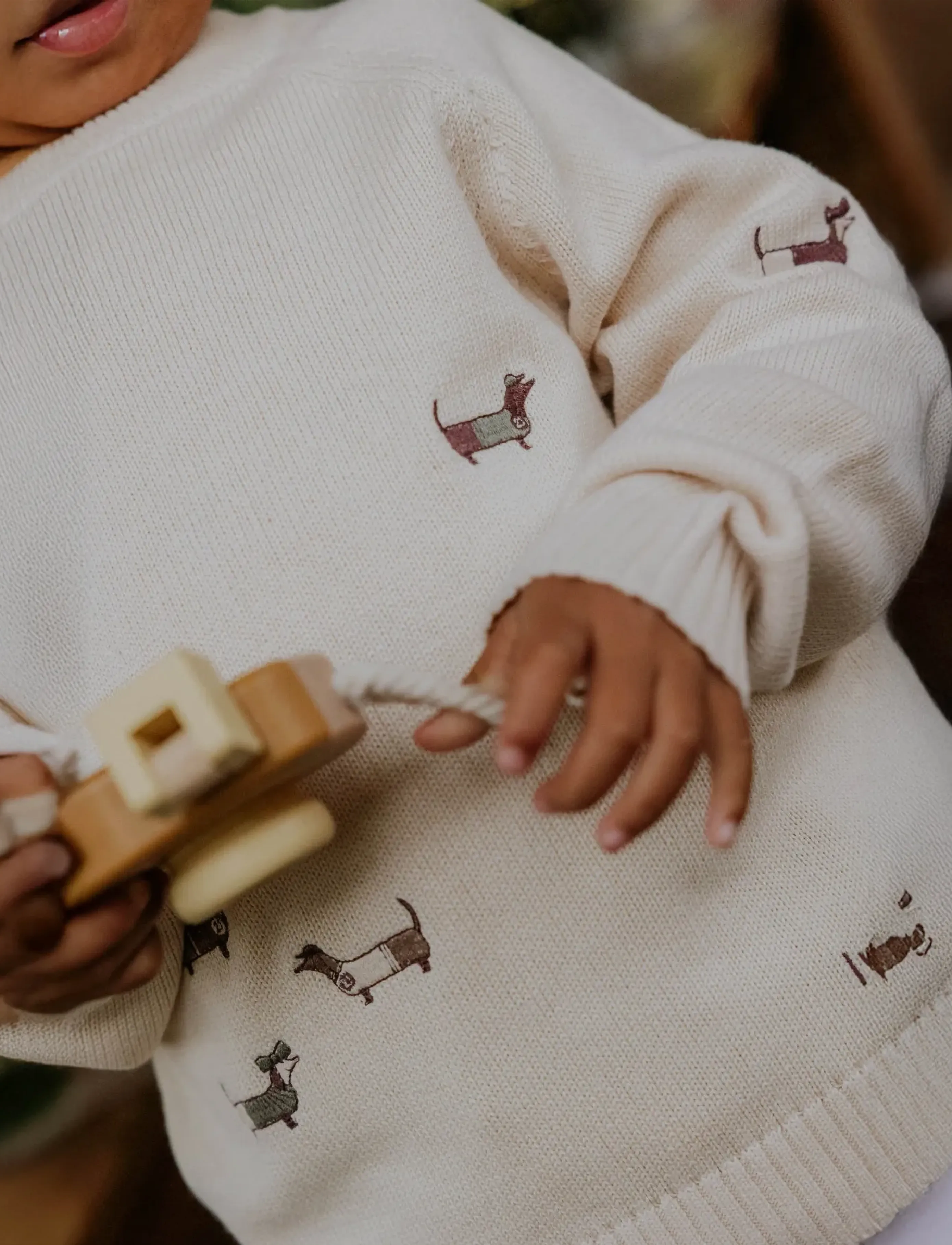Fliink - MAHDI DOG PULLOVER - neulepuserot - cream - 3
