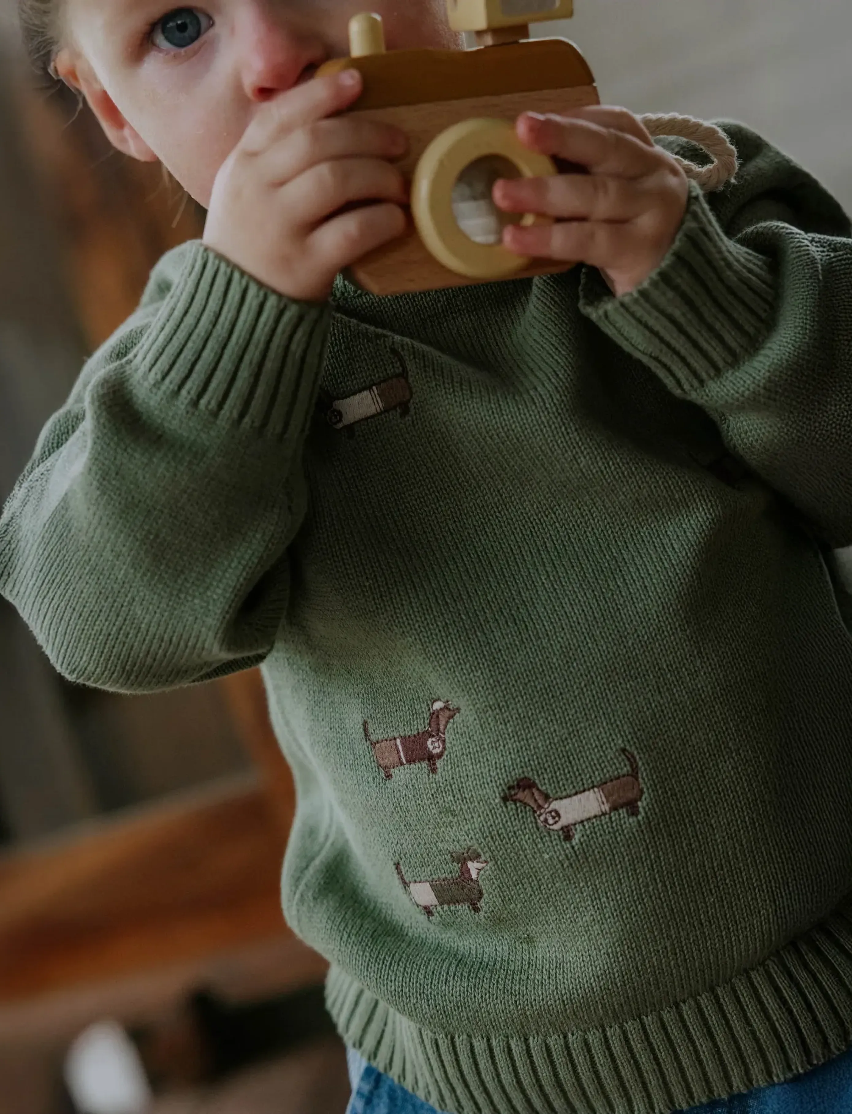 Fliink - MAHDI DOG PULLOVER - jumpers - green - 3