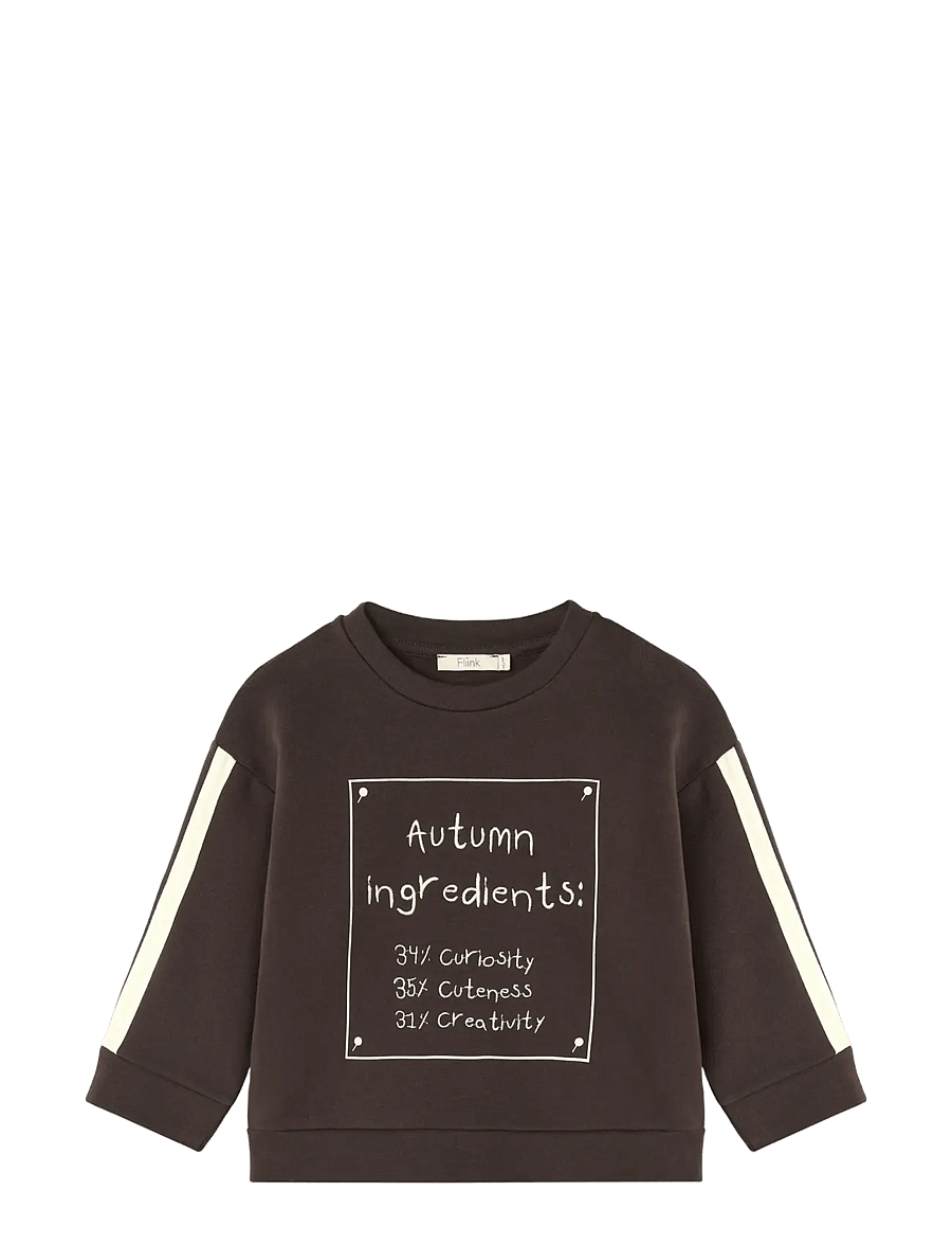 Fliink - ALVIN AUTUMN SWEATSHIRT - dressipluusid - coffee bean - 1