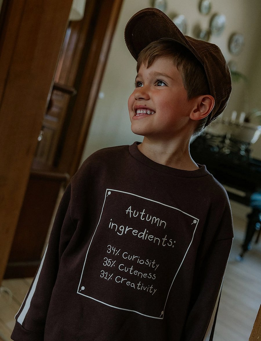 Fliink - ALVIN AUTUMN SWEATSHIRT - dressipluusid - coffee bean - 0