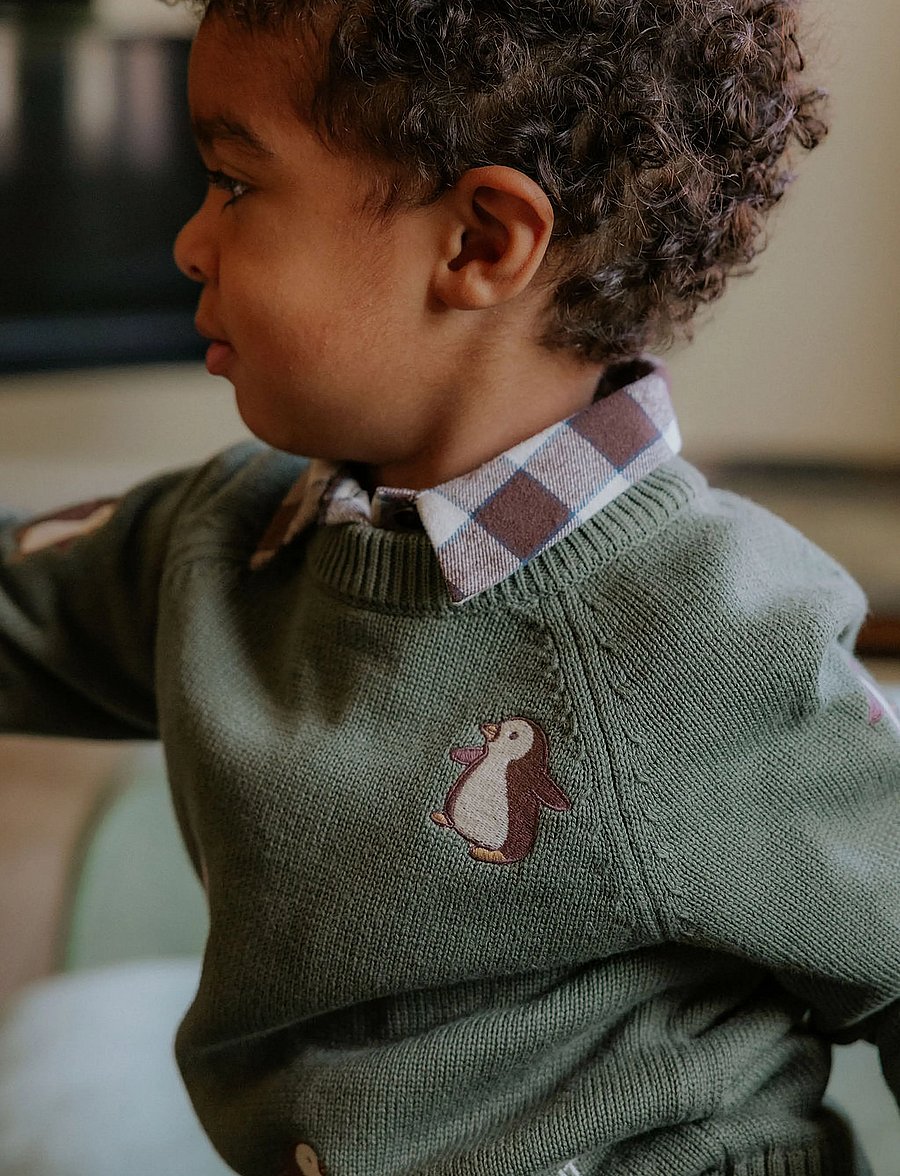 Fliink - MAHDI PINGO PULLOVER - beetle - 3