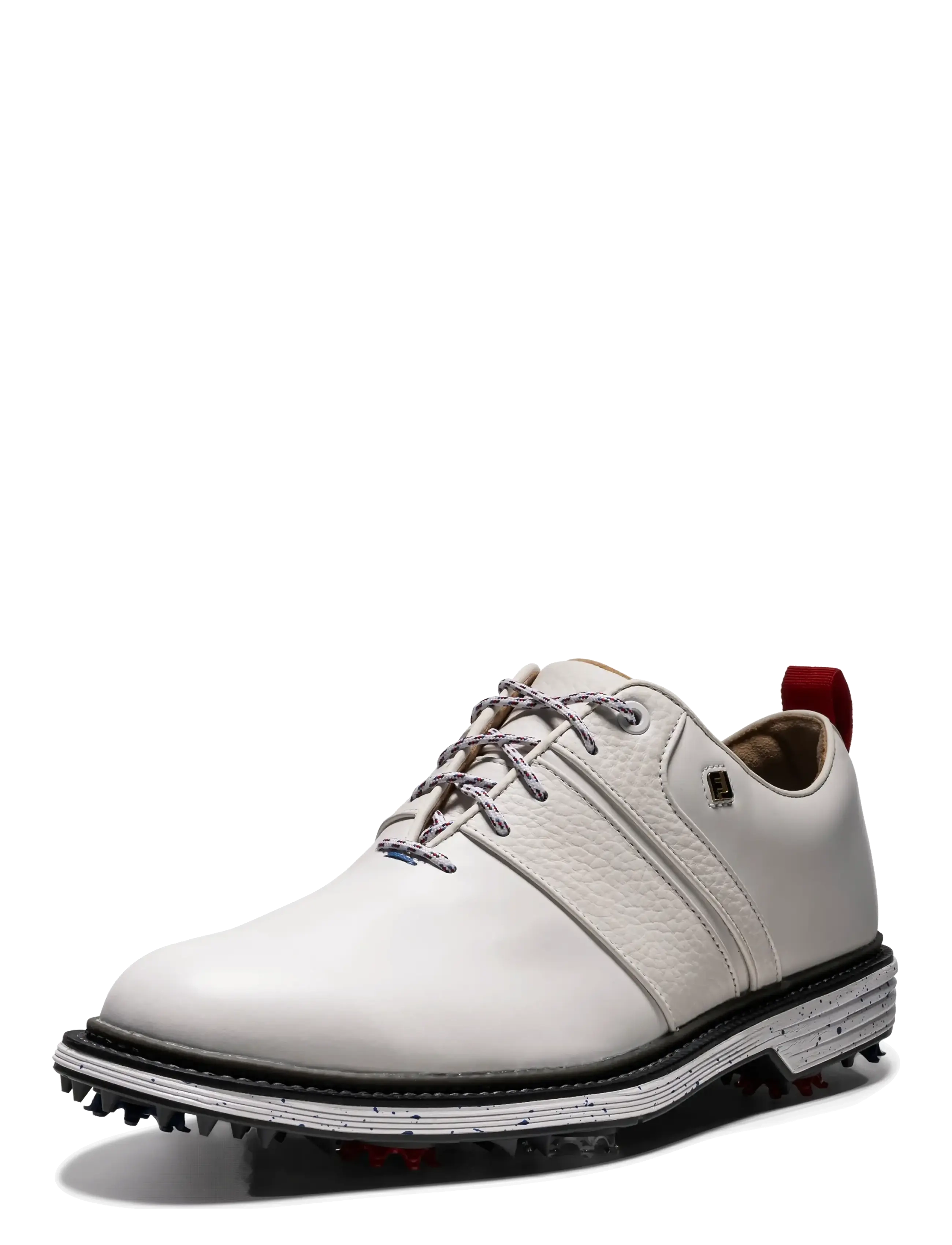 Premiere Series Snow 6
