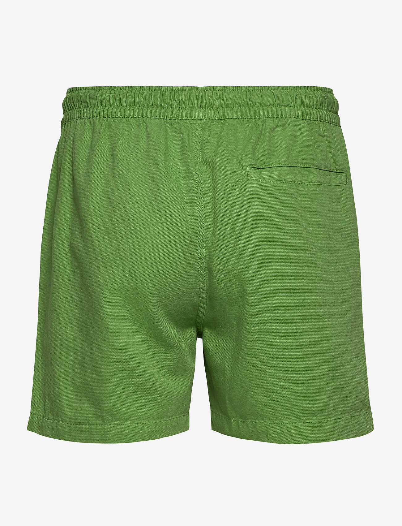 Forét - ROOT SHORTS - green - 1