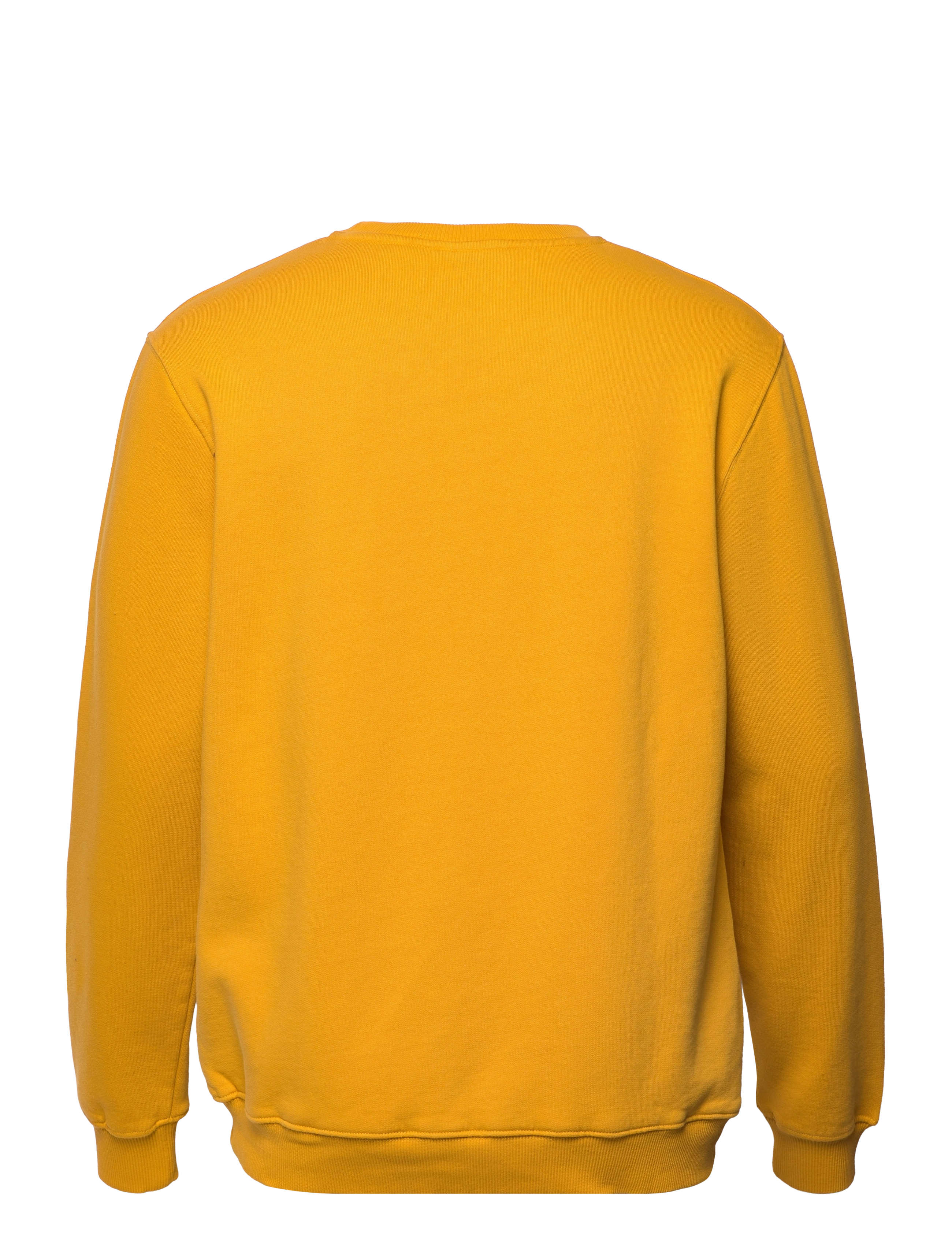 Forét - ASH SWEATSHIRT - amber - 1