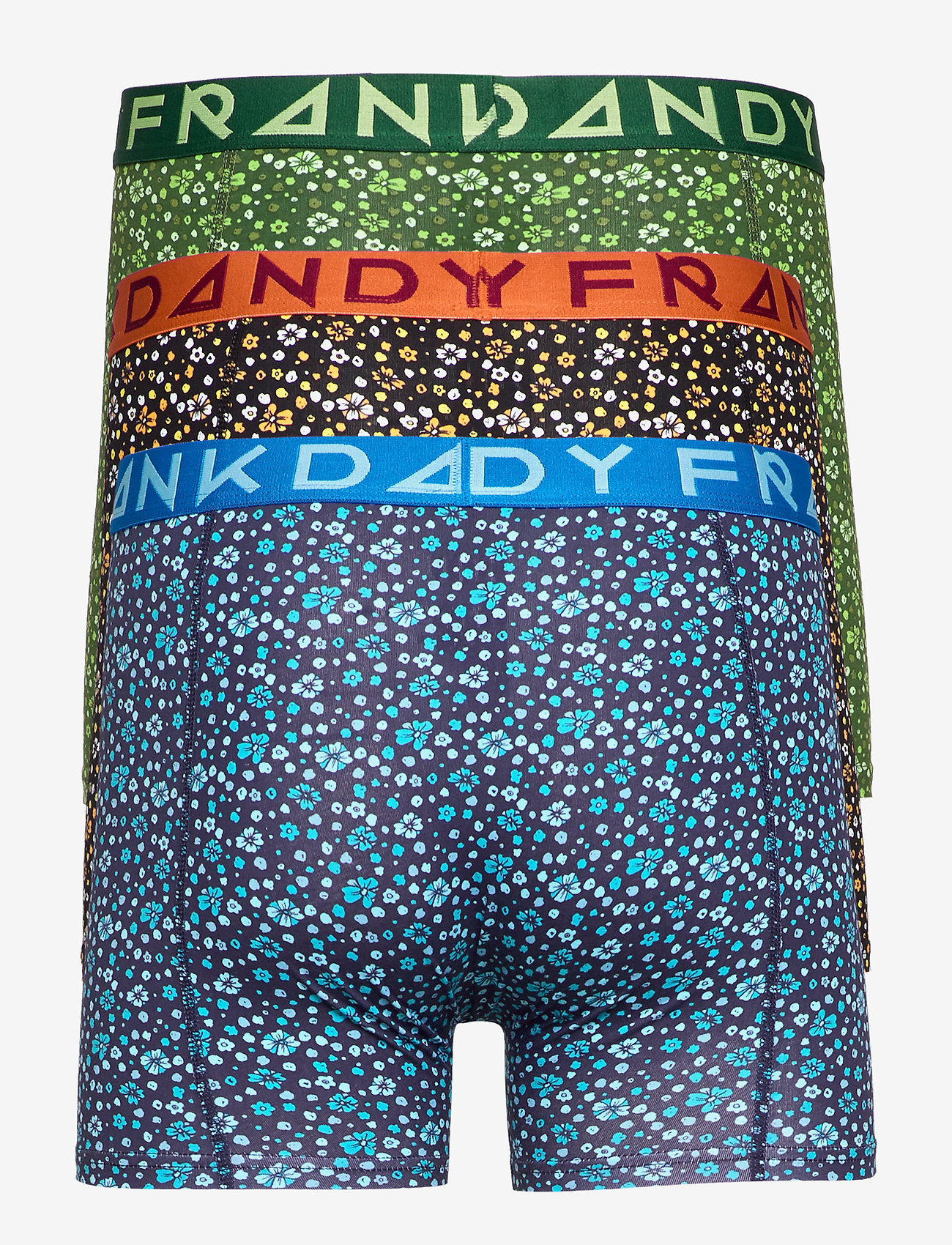 Frank Dandy - 3 Pack Blume Boxer - blue/orange/green - 1