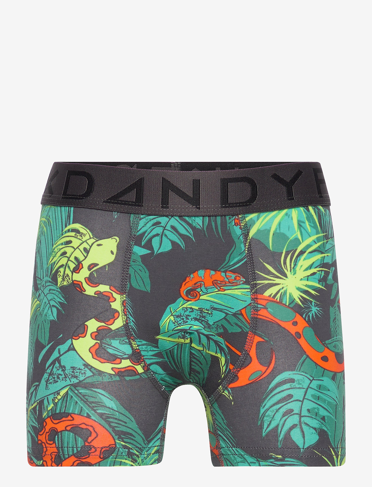 Frank Dandy - Boy's Djungel Boxer - blue - 0