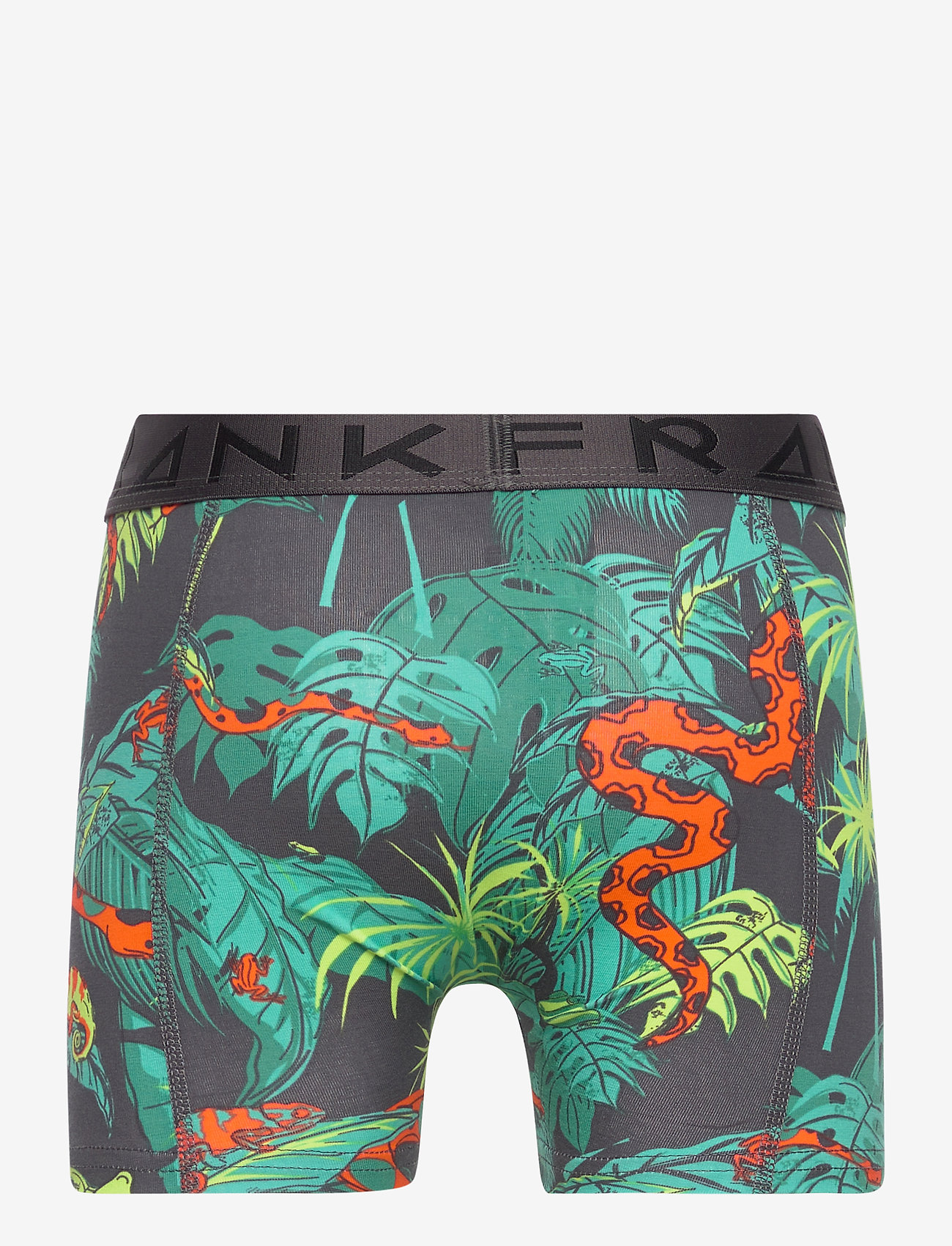 Frank Dandy - Boy's Djungel Boxer - blue - 1