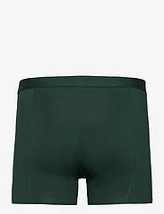 Frank Dandy - BO.5p Tonal boxer - boxershortser - black/dk blue/wine/green - 5