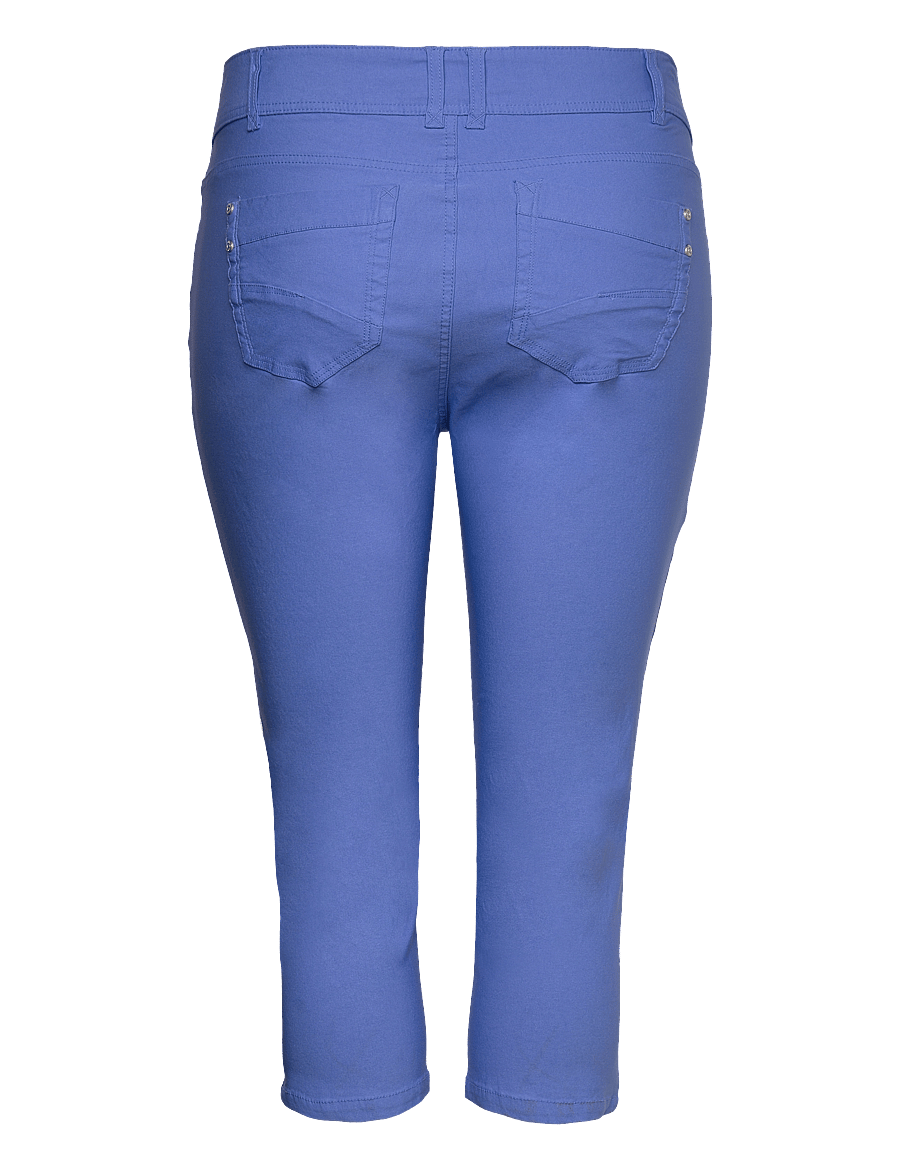 Fransa Curve - FPZALIN CA 1 - culottes - ultramarine - 1