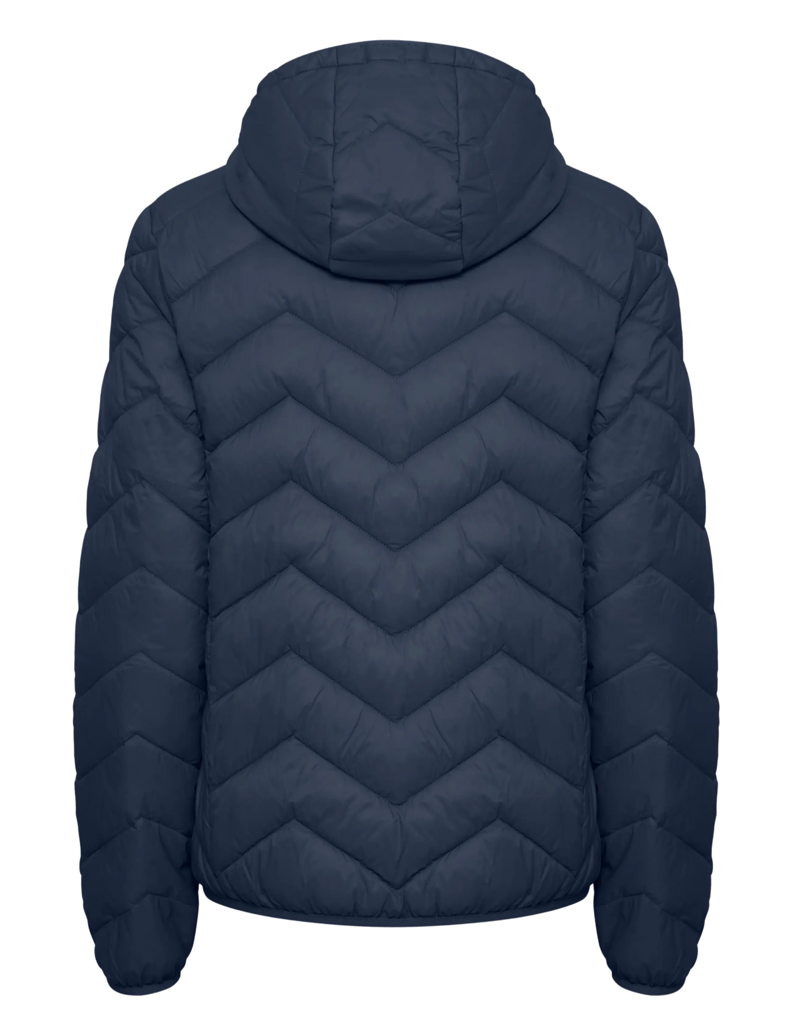 Fransa - FRBAPADDING 1 OUTERWEAR - winterjacken - navy blazer - 2