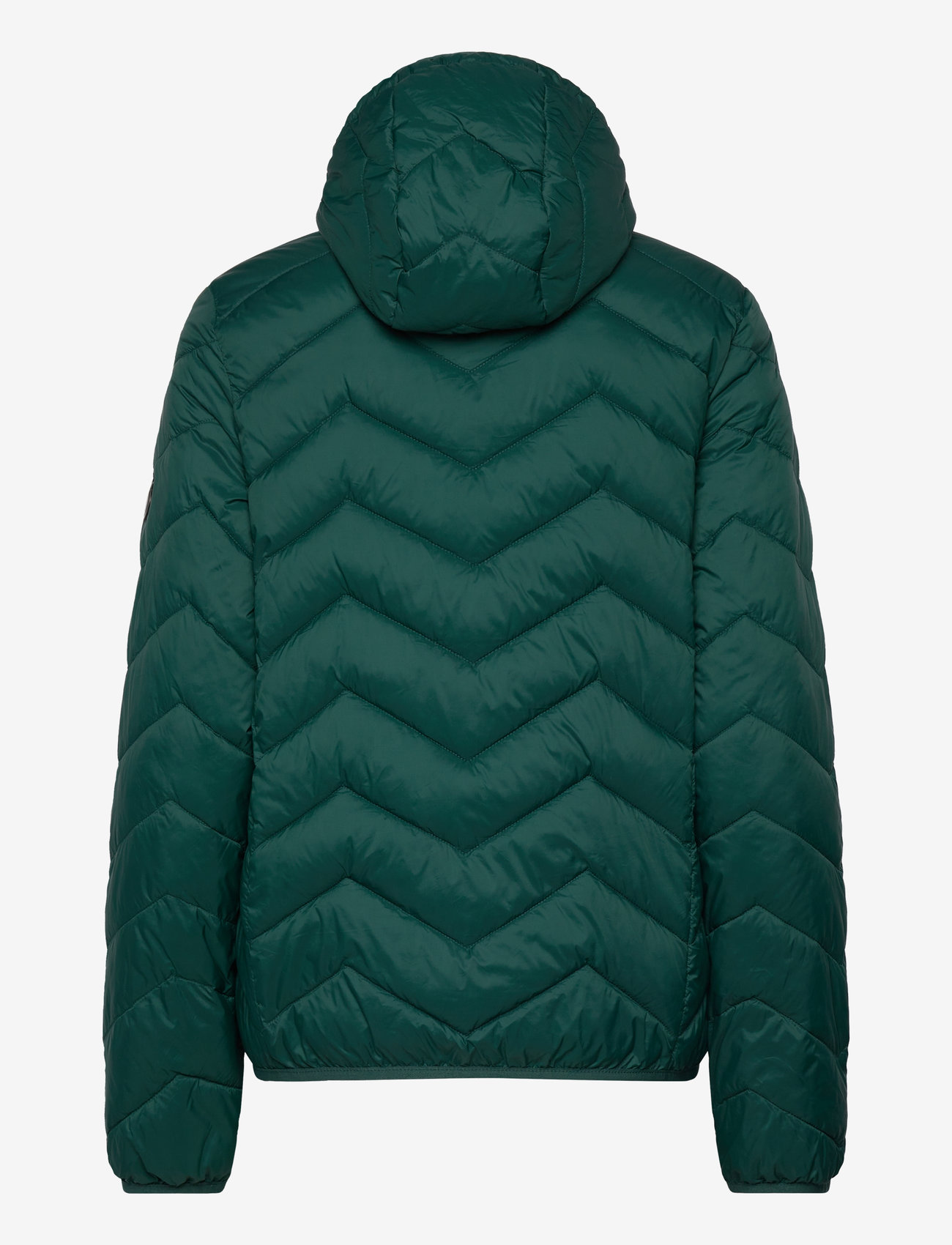 Fransa - FRBAPADDING 1 OUTERWEAR - ponderosa pine - 1