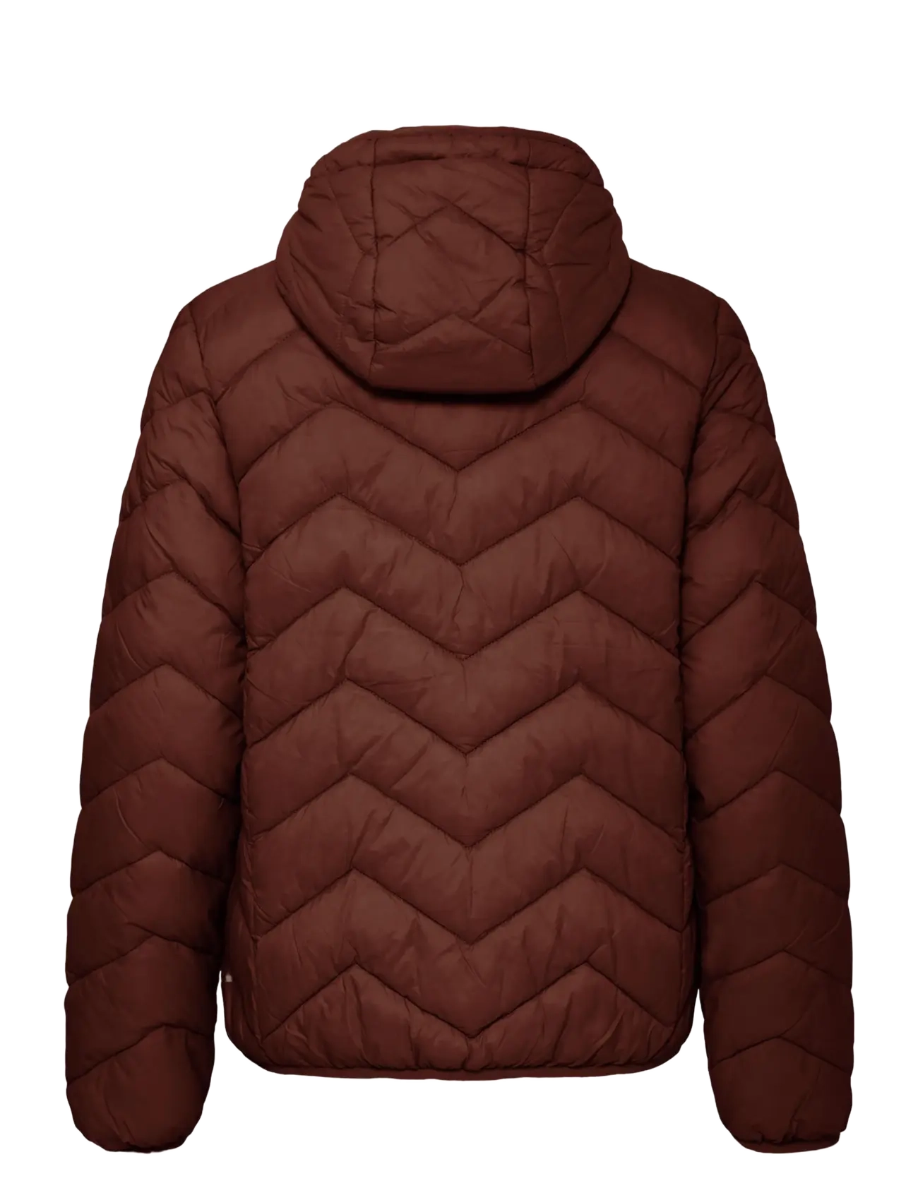 Fransa - FRBAPADDING 1 OUTERWEAR - winterjacken - rum raisin - 2