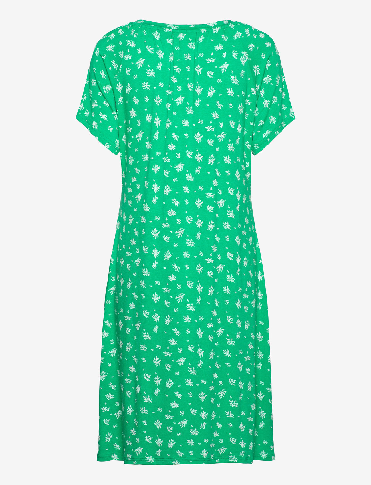 Fransa - FRSANIE DR 1 - laveste priser - blarney - 2