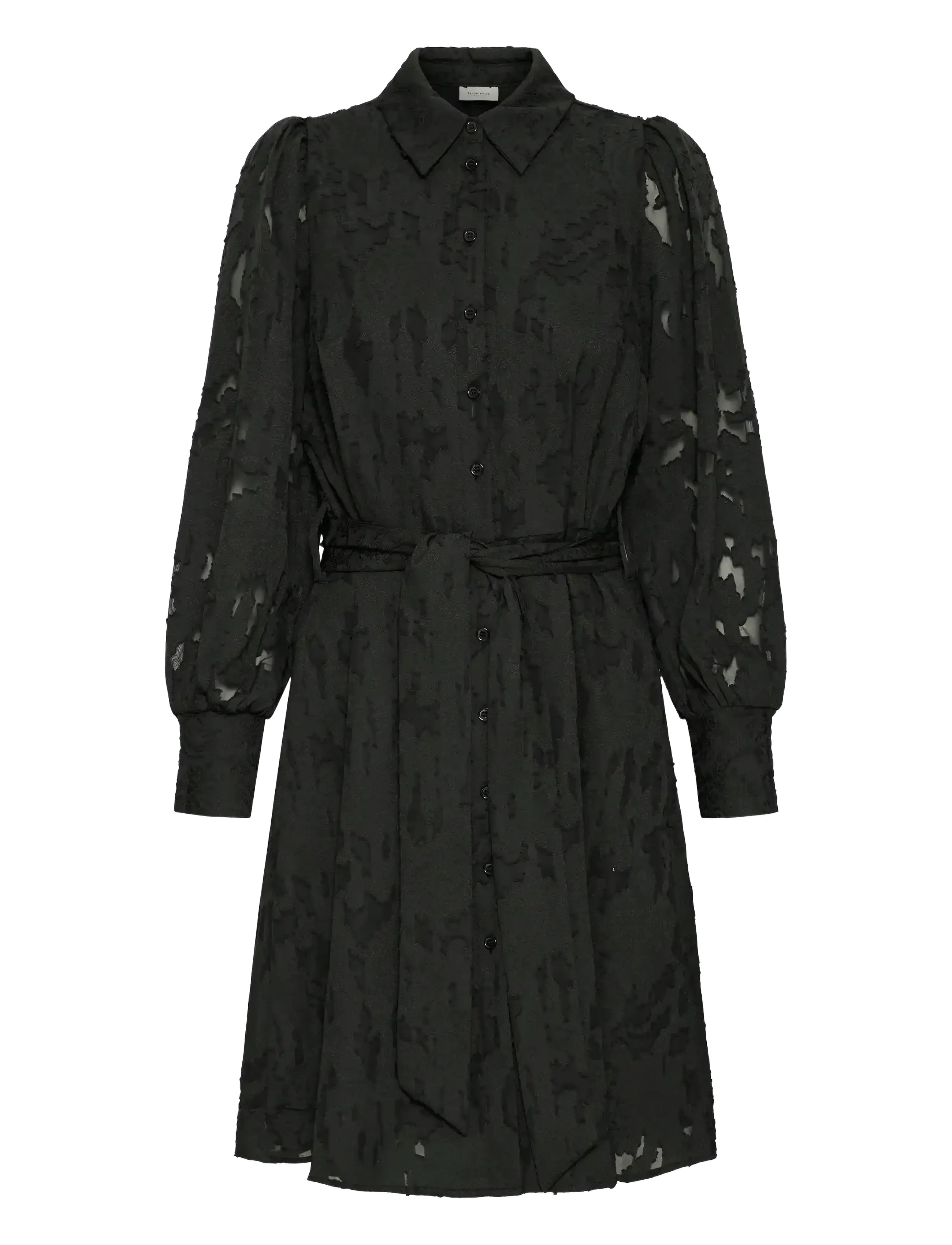 Frmera Dr 1