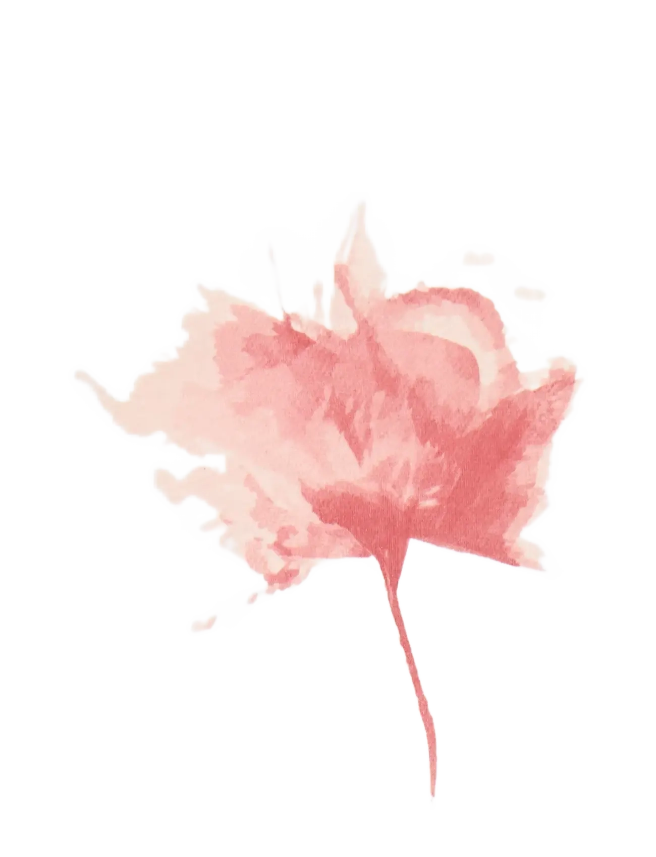 Fransa - FRFRANCESCA TEE 1 - marškinėliai - lotus flower - 3