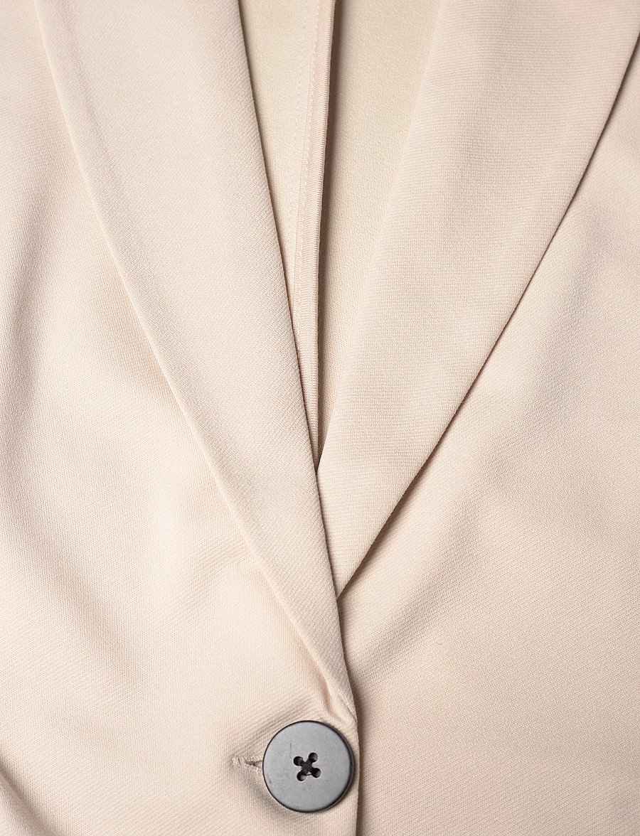 FREE/QUENT - FQNANNI-JA-FASHION-STRUC - einreihige blazer - moonbeam - 2