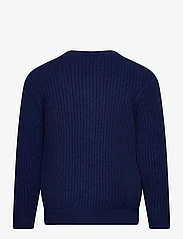 FUB - Lambswool Cardigan - susegamieji megztiniai - royal blue - 1