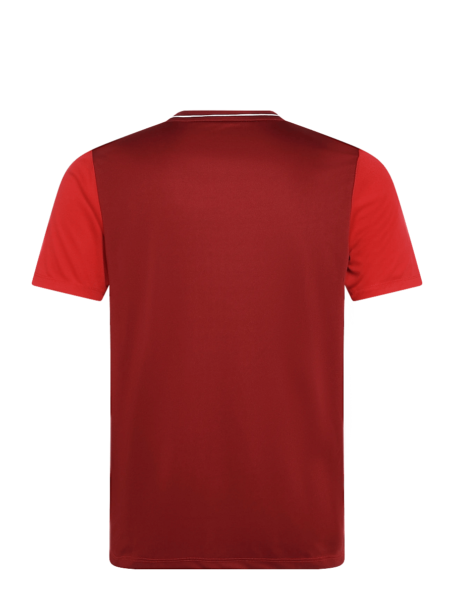 FZ Forza - FZ Forza Badminton SS Tee - t-shirts - chinese red - 1