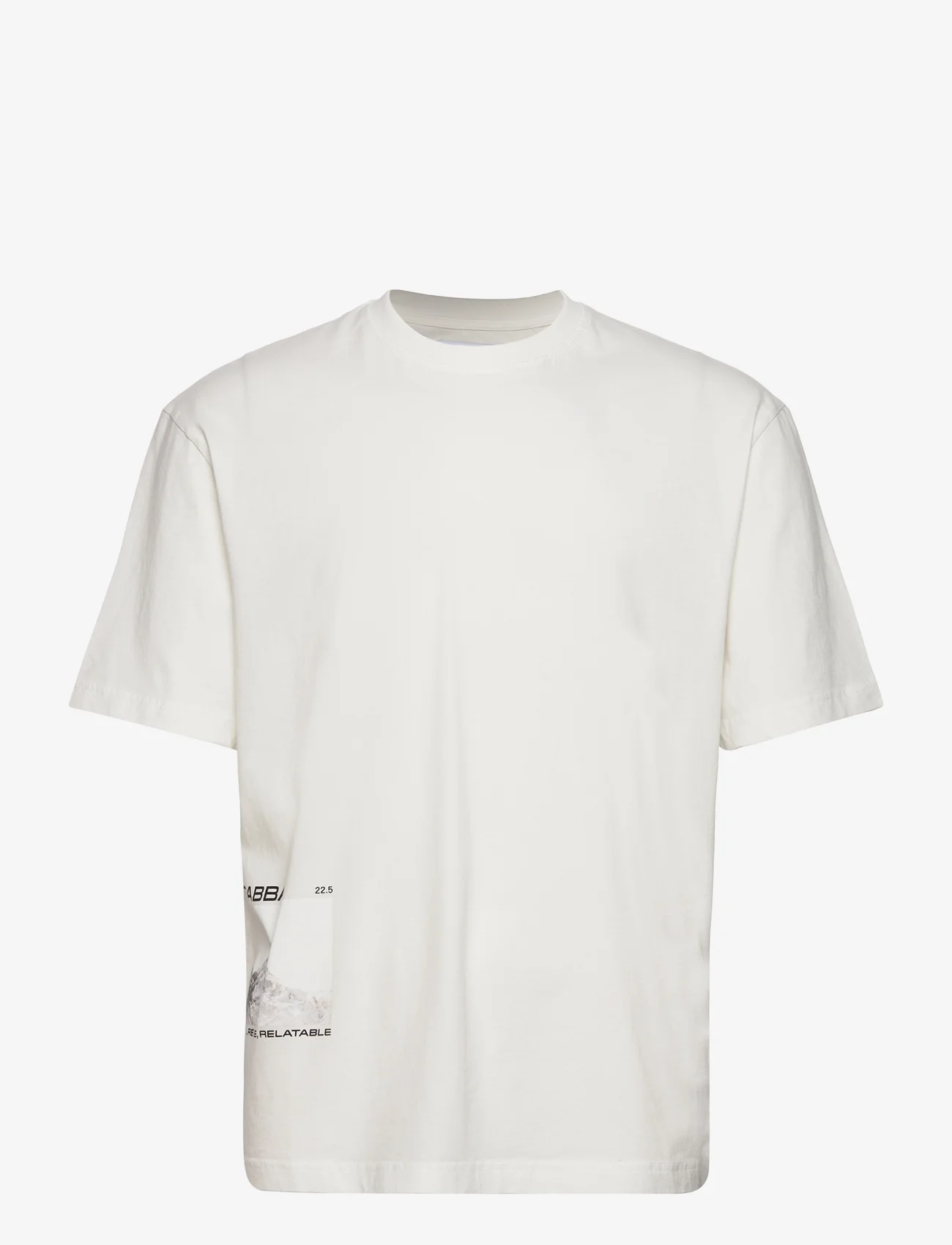 Gabba - Nigel Boxy Peak Print SS - basic t-shirts - snow white - 0