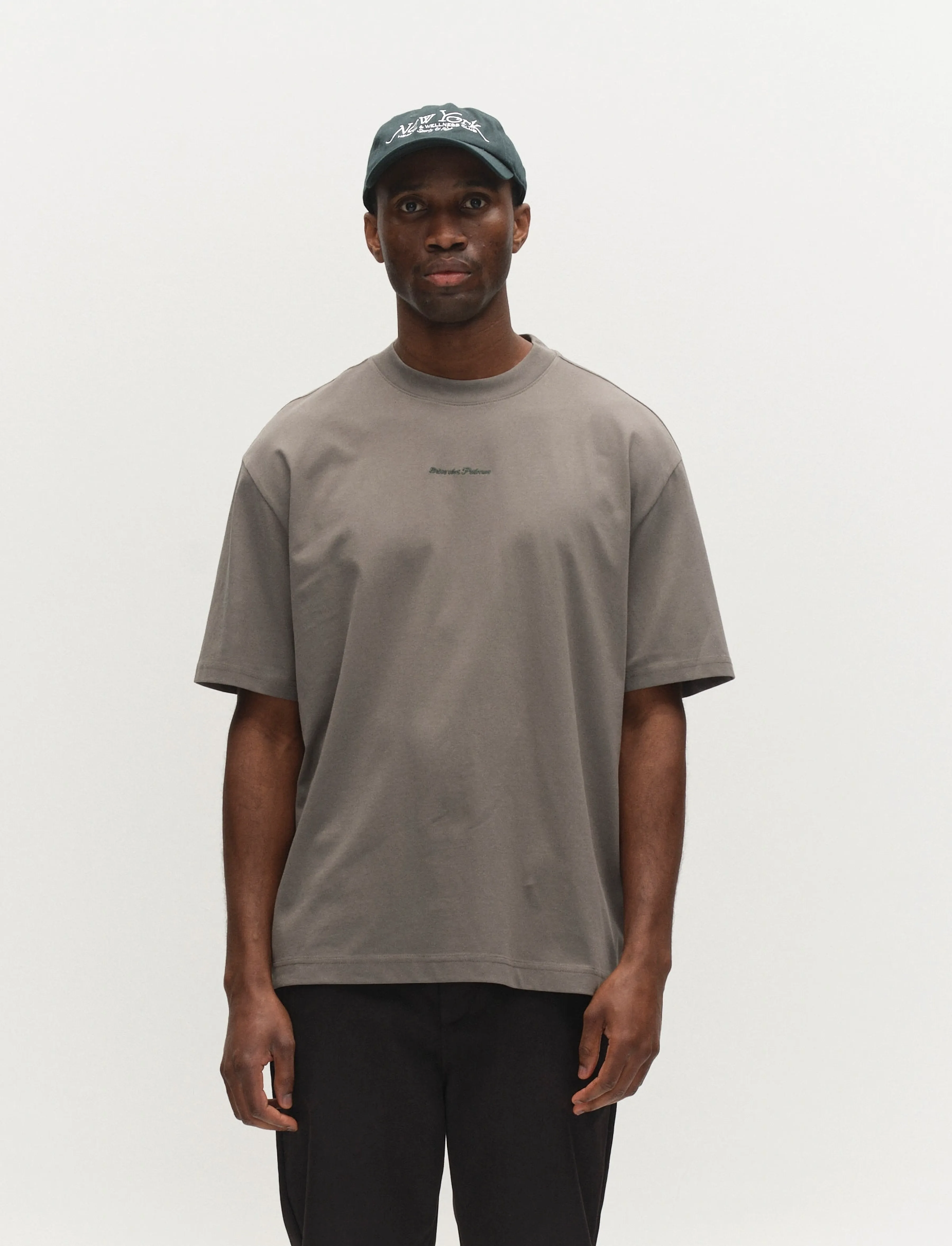 Gabba GABnigel NBH SS T-Shirt GOTS - Tøj - CASTOR GRAY / khaki/green