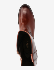 Gabor - Boot - langskaftede støvler - brown - 3