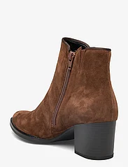 Gabor - Ankle boot - kõrge konts - brown - 2