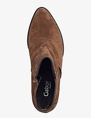 Gabor - Ankle boot - høj hæl - brown - 3