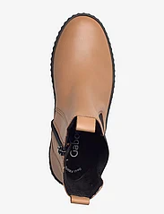Gabor - Sneaker chelsea - niski obcas - brown - 3