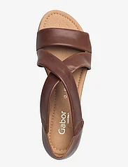 Gabor - Flat sandal - flade sandaler - cognac - 3