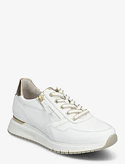 Gabor - Sneaker - lave sneakers - white - 0