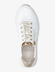 Gabor - Sneaker - lave sneakers - white - 3