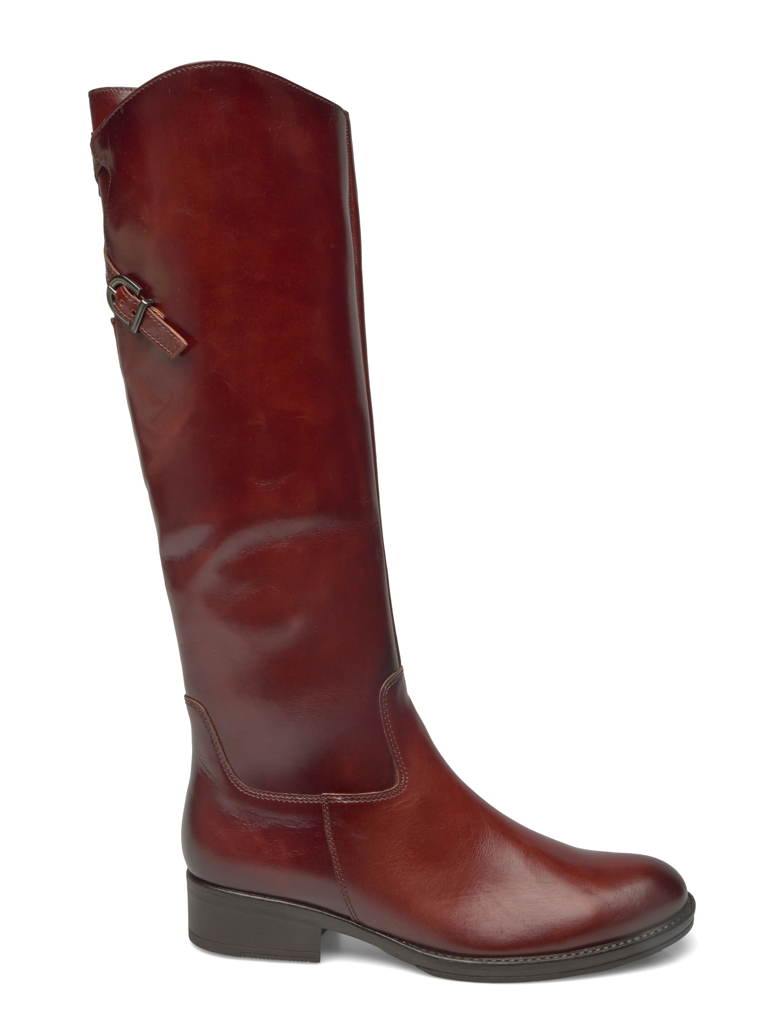 Gabor - Boot - cognac - 1