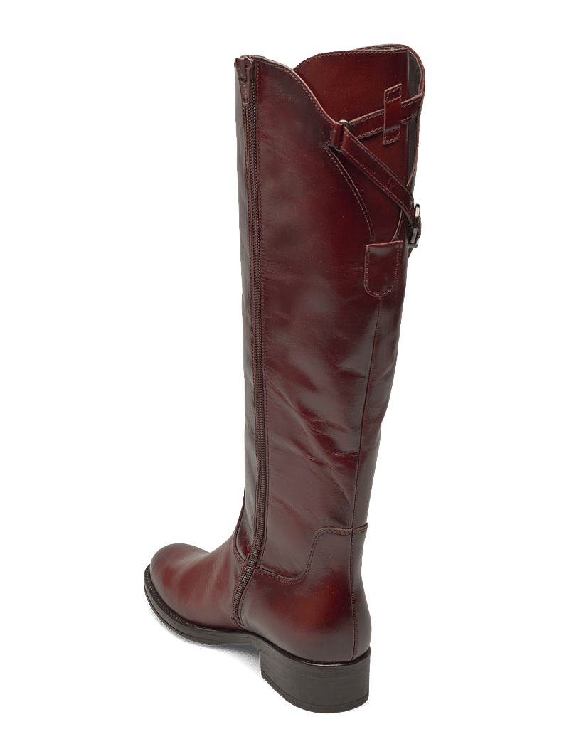 Gabor - Boot - cognac - 2