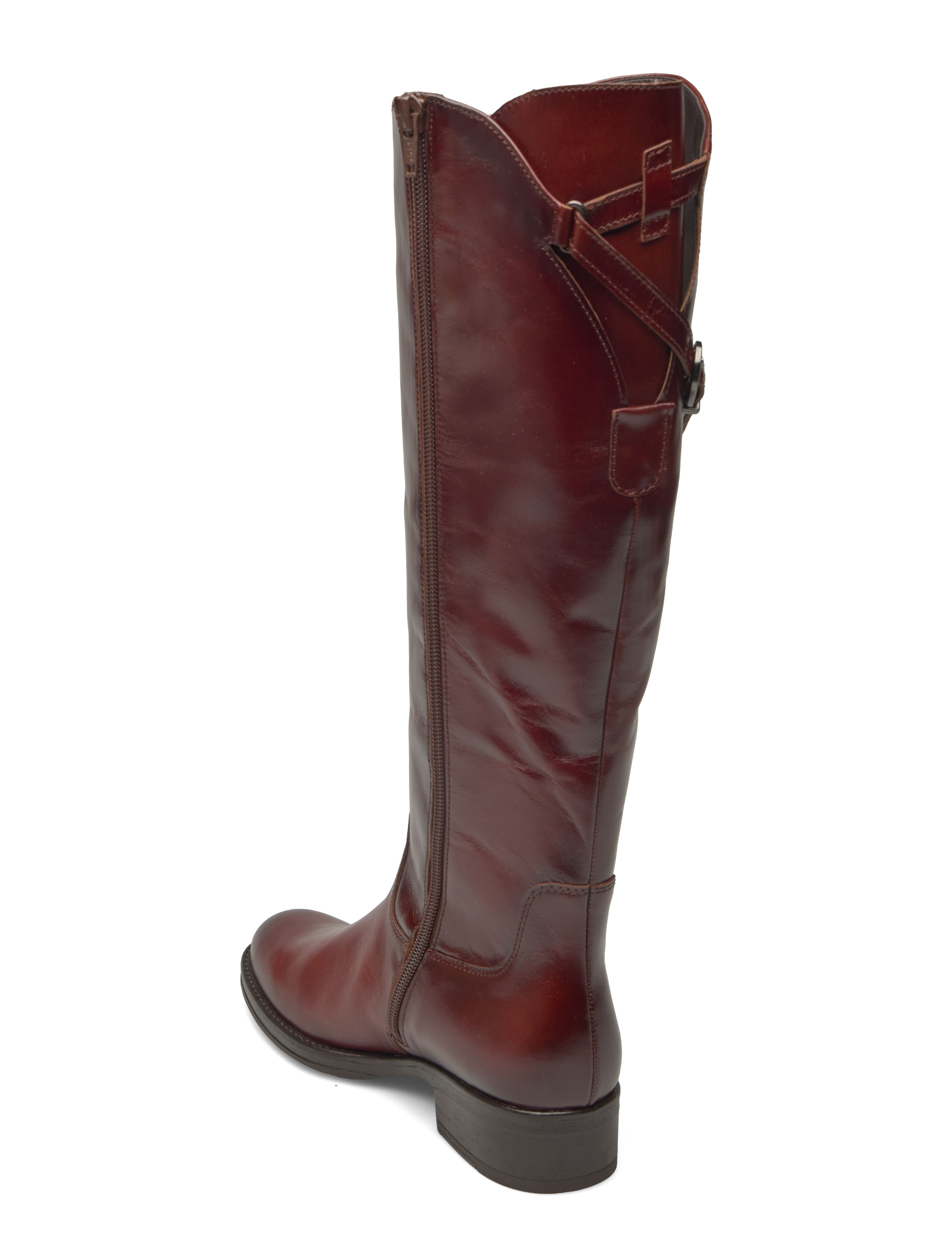 Gabor - Boot - cognac - 2