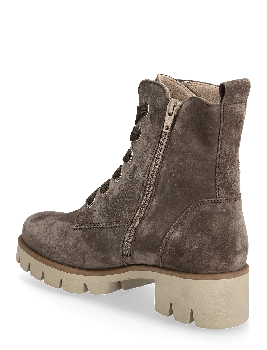 Gabor - Laced ankle boot - støvletter - taupe - 2