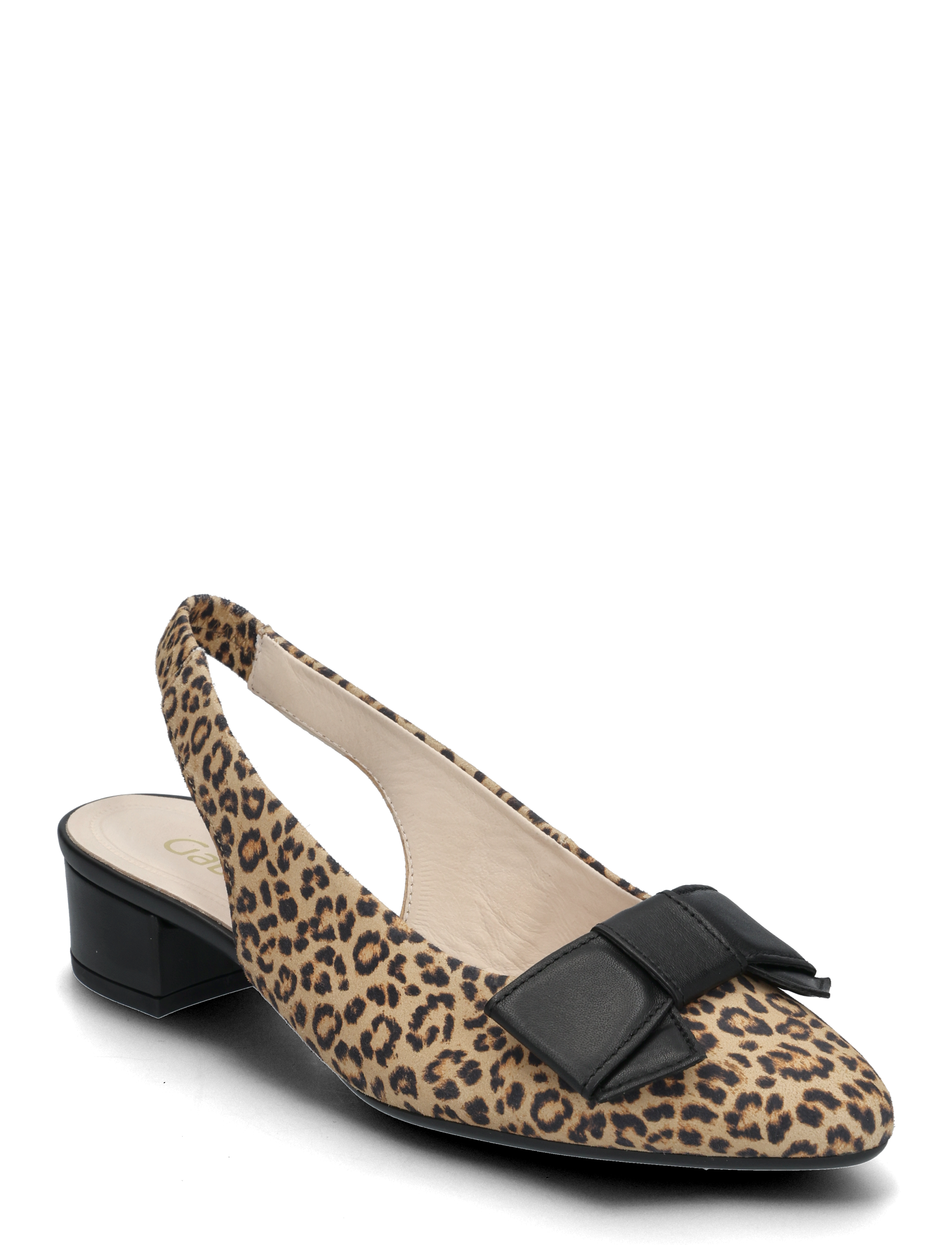 LEOPARD, BLACK