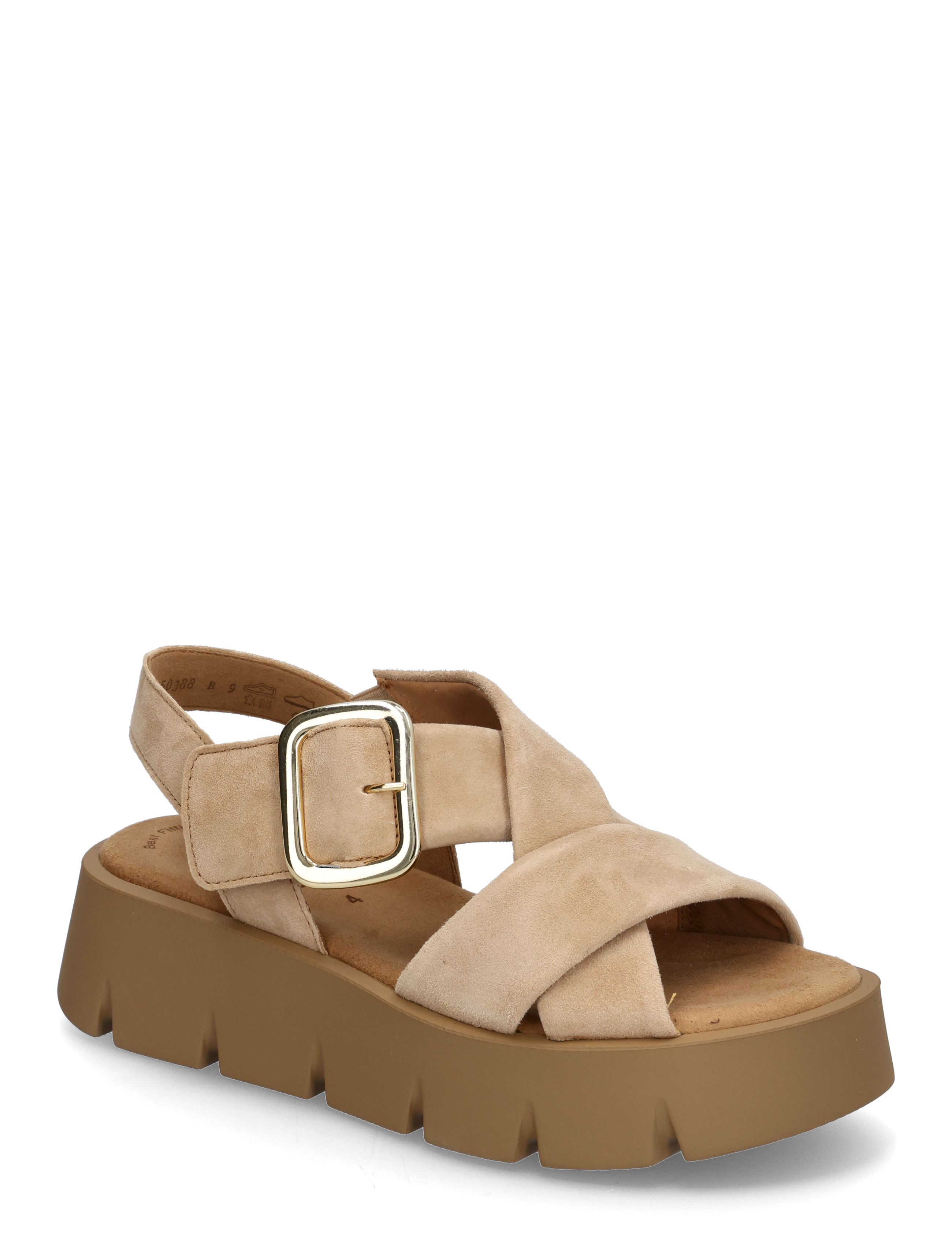 CAMEL