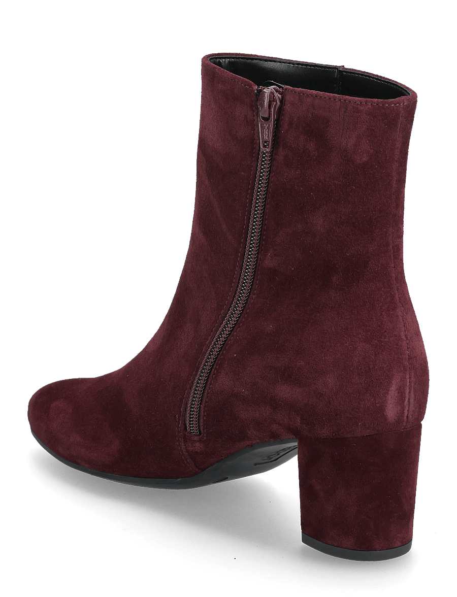 Gabor - Ankle boot - stiefeletten mit absatz - bordeaux red - 2