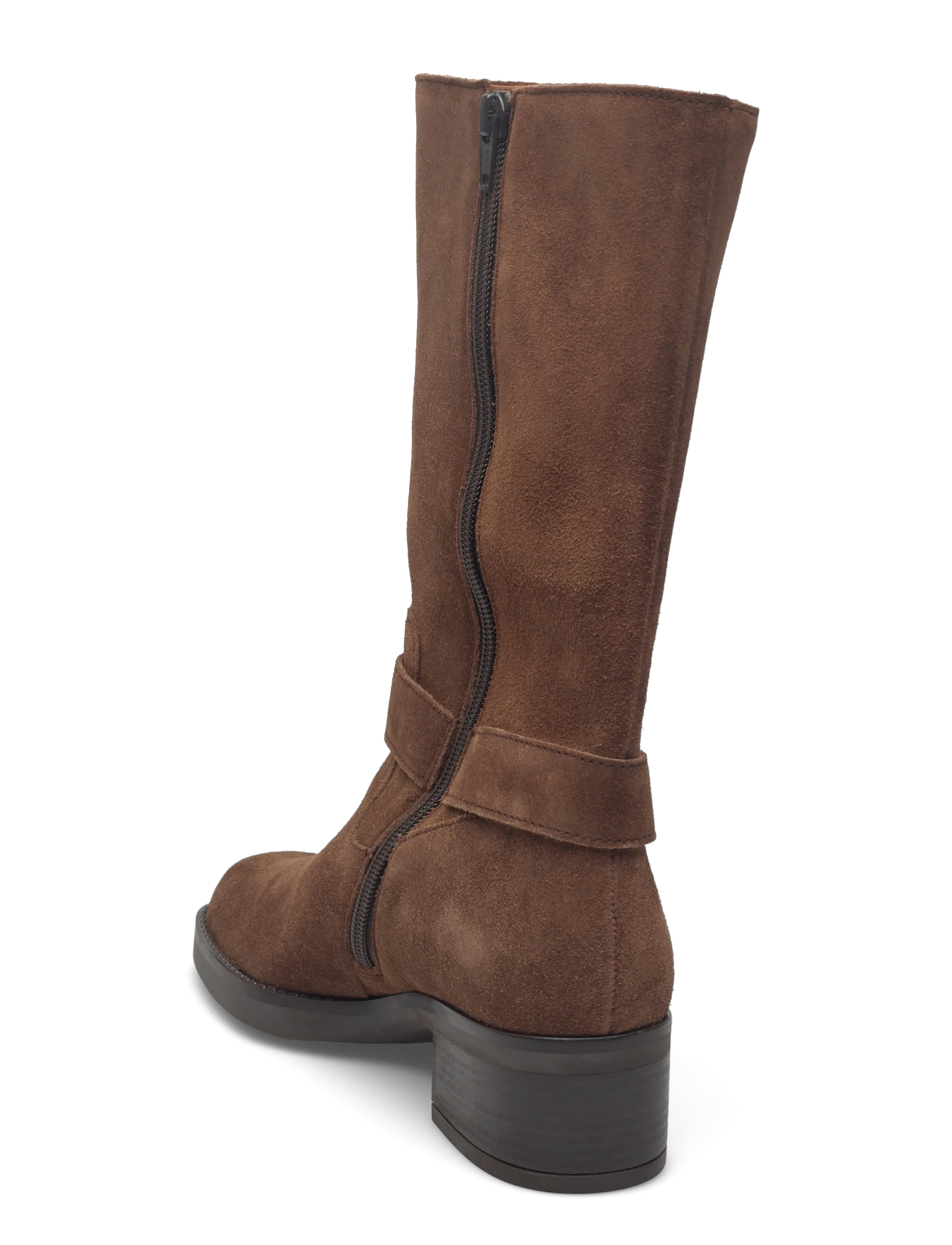 Gabor - Biker boot - cognac - 2