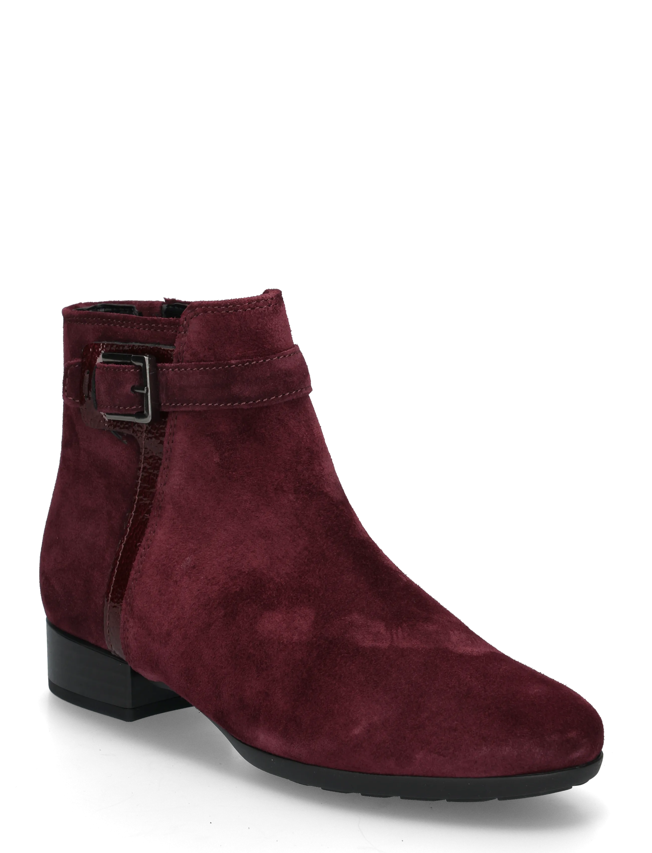 Gabor Ankle boot - Støvler - BORDEAUX / burgundy