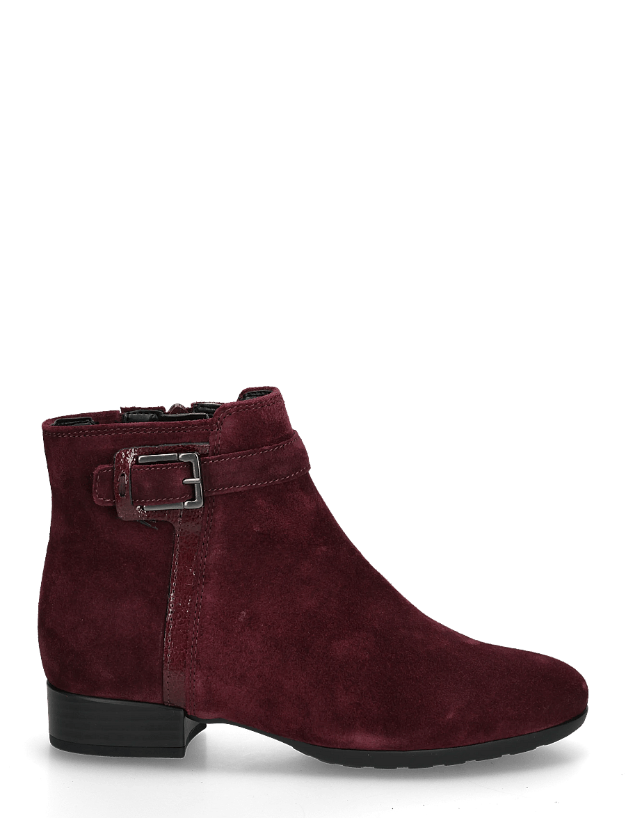 Gabor - Ankle boot - stiefeletten mit absatz - bordeaux - 2