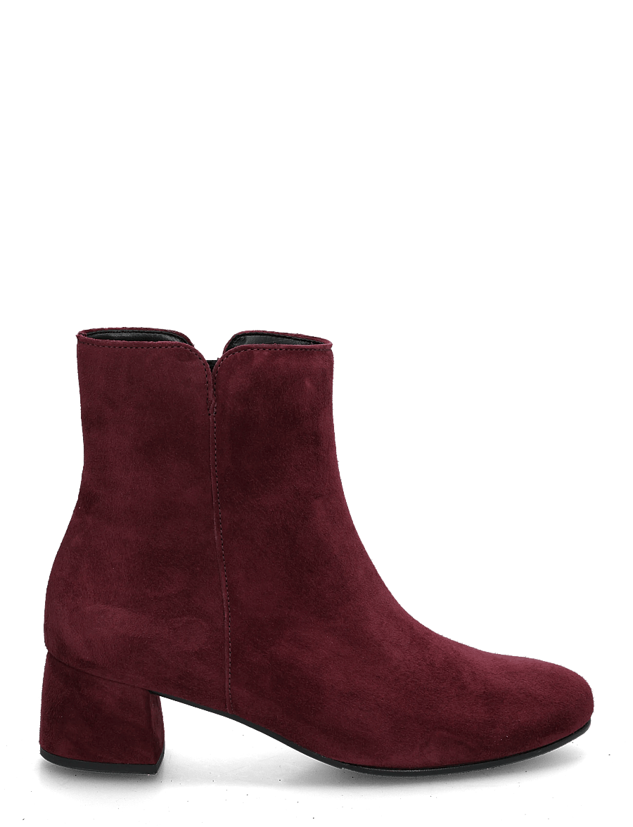 Gabor - Ankle boot - stiefeletten mit absatz - bordeaux - 2